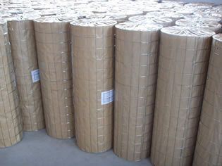 STAINLESS STEEL WELDED MESH(图4)